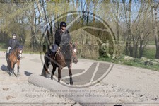 ref. photo 4015162