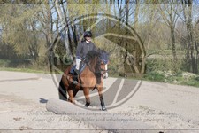 ref. photo 4015166