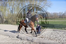 ref. photo 4015167