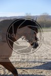 ref. photo 4015175