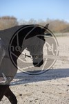 ref. photo 4015176