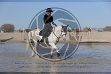 ref. photo 4015189