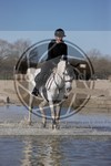 ref. photo 4015202