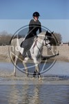 ref. photo 4015203
