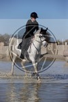 ref. photo 4015214