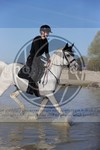 ref. photo 4015215