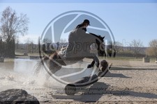 ref. photo 4015228