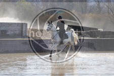ref. photo 4015230