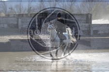 ref. photo 4015232