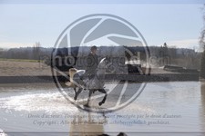 ref. photo 4015234