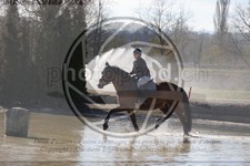 ref. photo 4015236