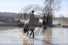 ref. photo 4015239