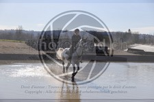 ref. photo 4015246