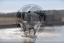 ref. photo 4015247