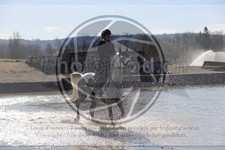ref. photo 4015248