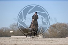 ref. photo 4015254
