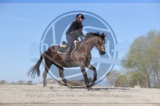 ref. photo 4015256
