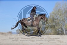 ref. photo 4015257