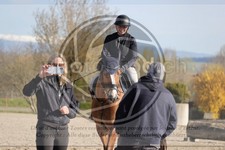 ref. photo 4015267