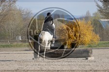 ref. photo 4015279