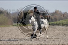 ref. photo 4015280
