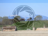 ref. photo 4015303
