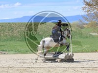 ref. photo 4015328