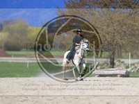 ref. photo 4015335