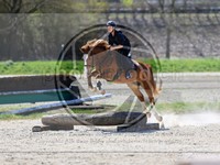 ref. photo 4015342