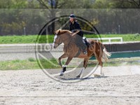 ref. photo 4015343