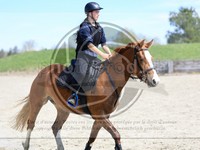 ref. photo 4015353
