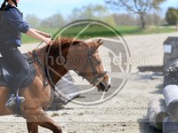 ref. photo 4015354