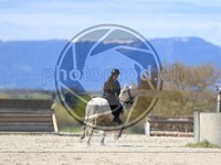 ref. photo 4015366