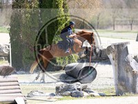ref. photo 4015372