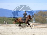ref. photo 4015374