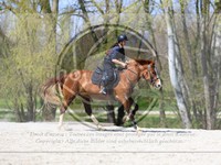 ref. photo 4015377
