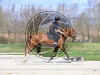 ref. photo 4015378