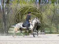 ref. photo 4015392