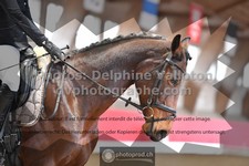 ref. photo 3495850