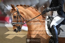 ref. photo 3495936