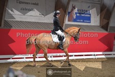 ref. photo 3495939