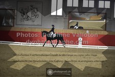 ref. photo 3495960