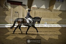 ref. photo 3495985