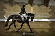 ref. photo 3495986