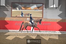 ref. photo 3495993