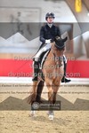 ref. photo 3495999