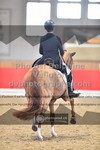 ref. photo 3496000
