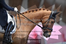ref. photo 3496007