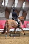 ref. photo 3496041