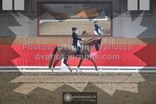 ref. photo 3496050